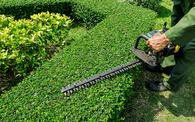 landscape-maintenance landscape-maintenance